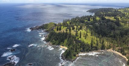 Shearwater - Norfolk Island  T (PBH4 00 18998)